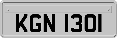 KGN1301