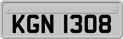 KGN1308