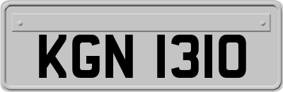 KGN1310