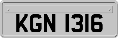 KGN1316