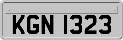 KGN1323