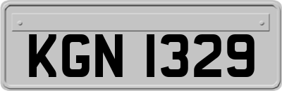 KGN1329