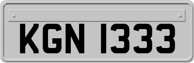 KGN1333