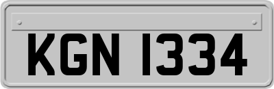 KGN1334