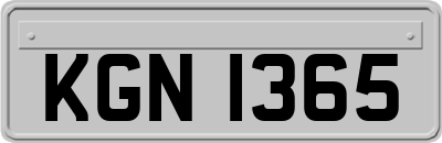 KGN1365