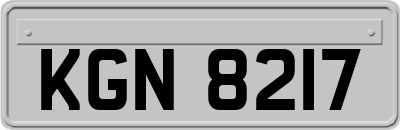 KGN8217