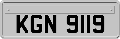 KGN9119