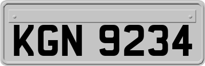 KGN9234