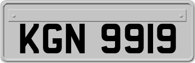 KGN9919