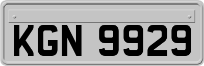 KGN9929