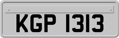 KGP1313