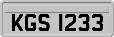 KGS1233