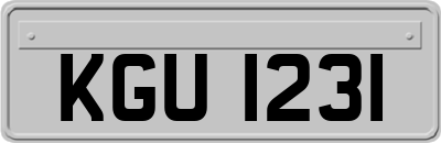 KGU1231
