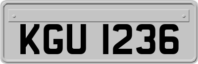 KGU1236