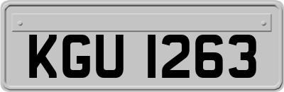 KGU1263