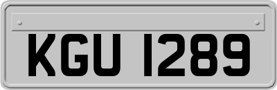 KGU1289