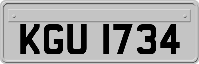 KGU1734