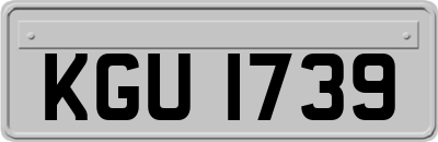 KGU1739