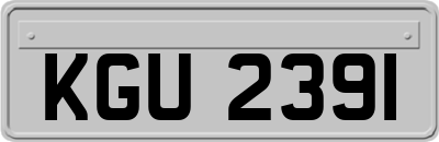 KGU2391