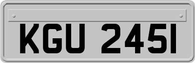 KGU2451