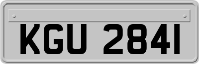 KGU2841