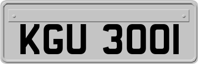 KGU3001