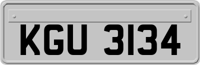 KGU3134