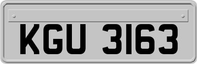 KGU3163