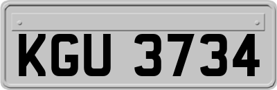 KGU3734