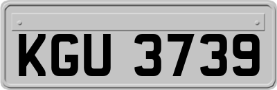 KGU3739