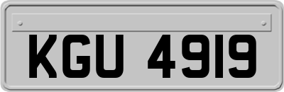 KGU4919