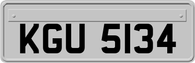 KGU5134