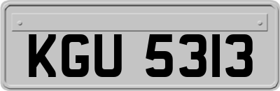 KGU5313