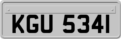 KGU5341