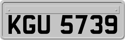 KGU5739