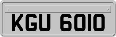 KGU6010