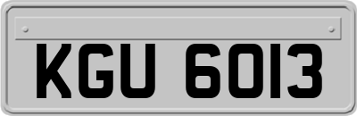 KGU6013