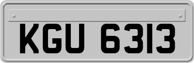 KGU6313