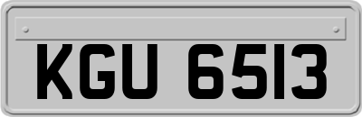 KGU6513