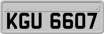 KGU6607