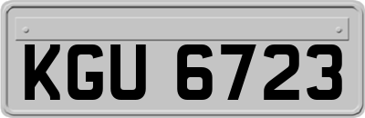 KGU6723
