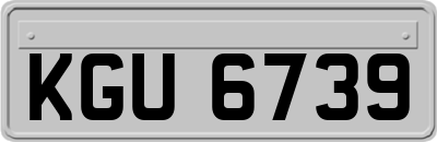 KGU6739