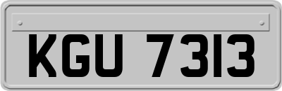 KGU7313