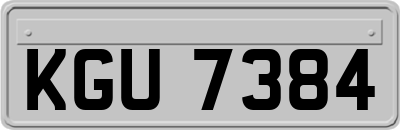 KGU7384