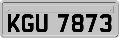 KGU7873