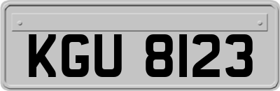 KGU8123