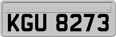 KGU8273