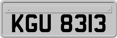 KGU8313