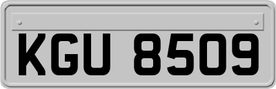 KGU8509