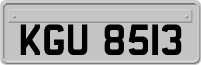 KGU8513